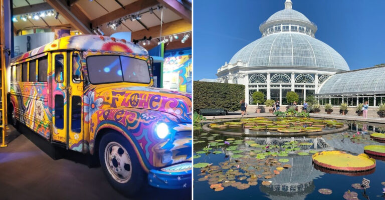 10 New York 2026 Summer Adventures That Feel Expensive But Won’t Cost You More Than A Tank Of Gas