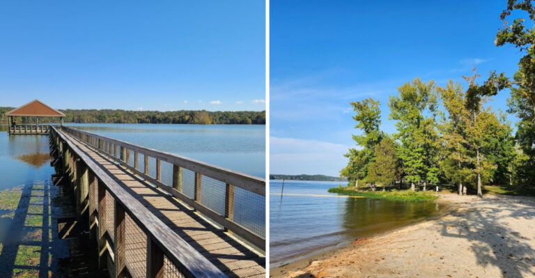 10 Parks In Tennessee That Are Perfect For Summer Heat And Sunshine