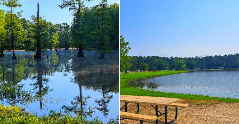 10 Refreshing Mississippi Lakeside Day Trips To Take This Summer That You’ll Never Regret