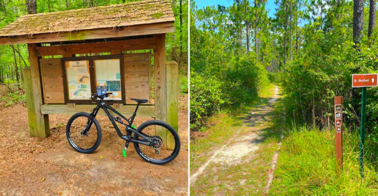10 Remote Mississippi Pedaling Destinations That Feel Genuinely Peaceful