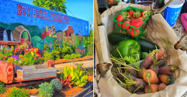 10 Roadside Farm Stands And Markets In Mississippi Worth Pulling Over For This Summer