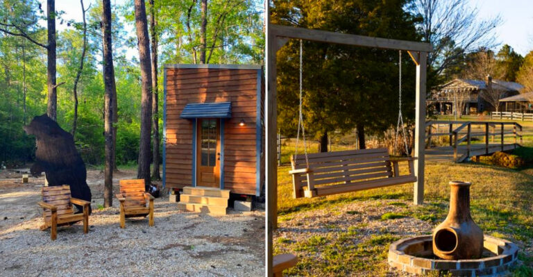 10 Secluded Mississippi Campgrounds That Feel Like True Private Escapes