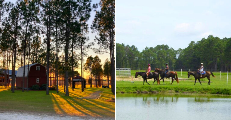 10 Stunning Mississippi Spots For A Horseback Ride You’ll Truly Never Forget