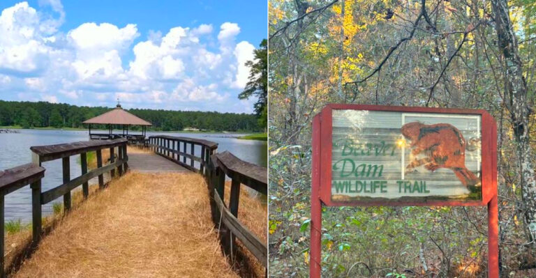 10 Under 5 Miles Mississippi Hikes That Locals Recommend For The Whole Family