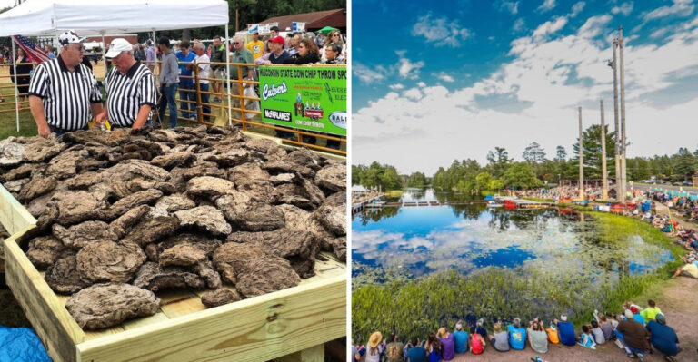 10 Wisconsin Festivals That Are Weird, Fun, And Completely Worth Your Time