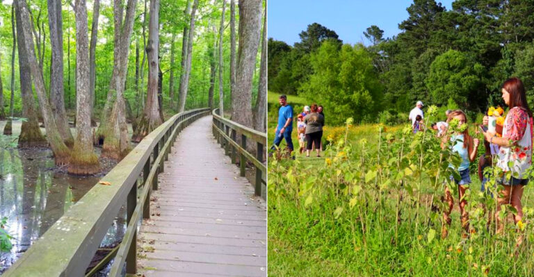 11 Mississippi Adventures You Can Enjoy For Under $20 Even In 2026