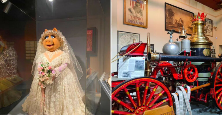 12 Absurdly Specific New York Museums That Locals Say Should Not Exist But Somehow Do