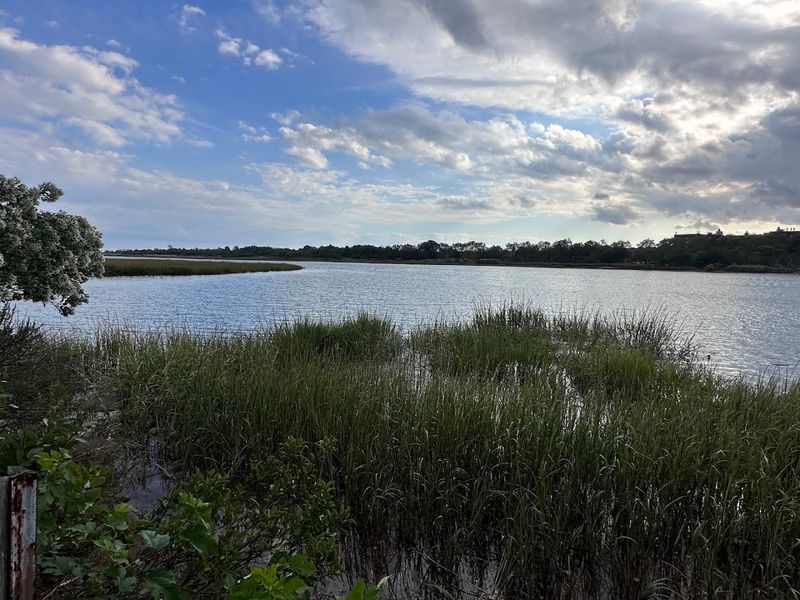 Marine Park Salt Marsh Nature Trail