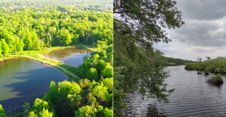 12 Beginner-Friendly Hikes In New York Where You Can Spot Wildlife In Their Natural Habitat Even In 2026