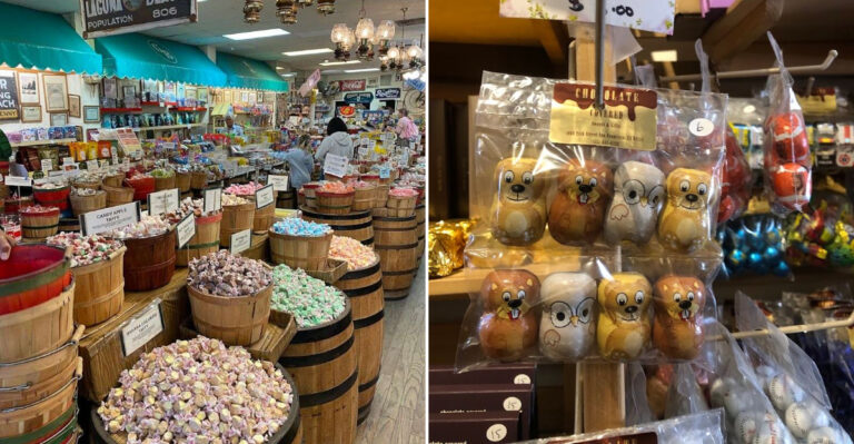 12 Magical Candy Shops In California Filled With Sweet Surprises And Nostalgia