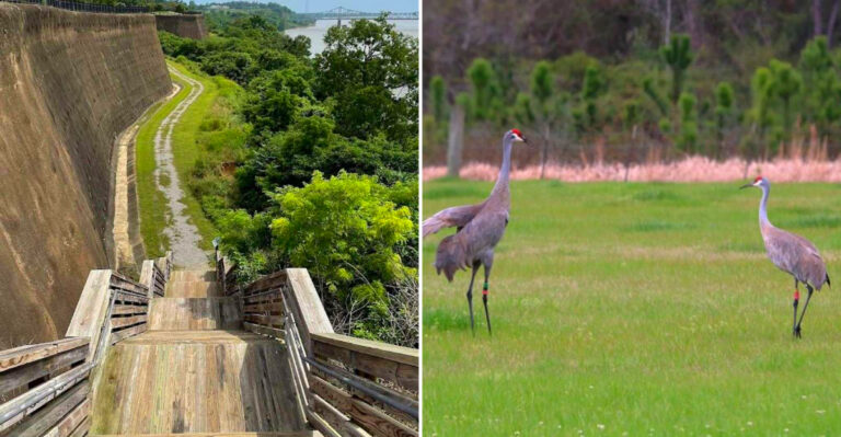 12 Natural Wonders In Mississippi That Feel Absolutely Unreal In Person