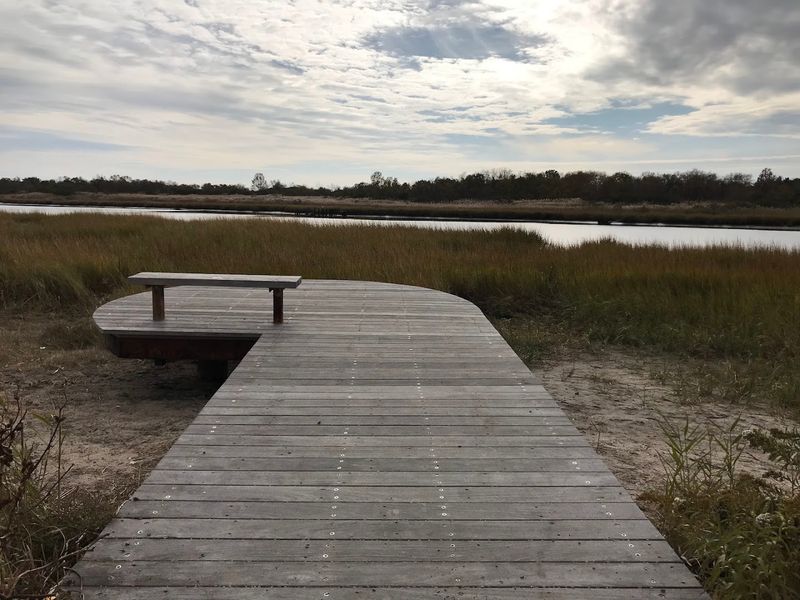 Marine Park Salt Marsh Nature Trail