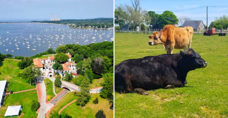 13 Long Island, New York Summer Destinations That Turn A Day Out With Kids Into An Adventure Adults Will Love Too