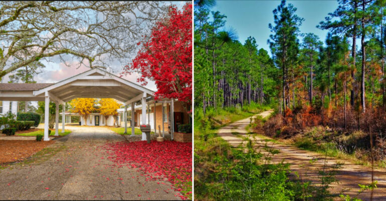 7 Mississippi Piney Woods Towns That Are Absolutely Made For Stress-Free 2026 Weekend Road Trips