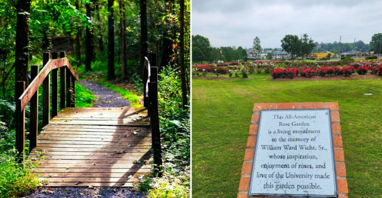 8 Beautiful Mississippi Gardens And Arboretums You Need To Explore This Summer