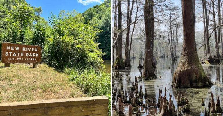 8 North Carolina State Parks With Stunning Views And Fewer Crowds Than National Parks
