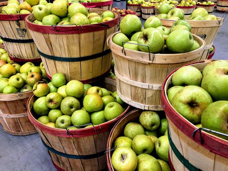 Carver's Orchard, Cosby, TN