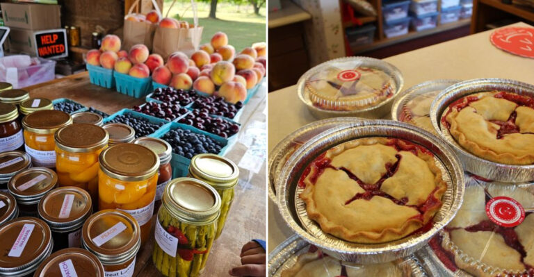 8 Top-Rated Cherry Pie Spots In Traverse City Michigan For The Ultimate Summer Dessert Experience