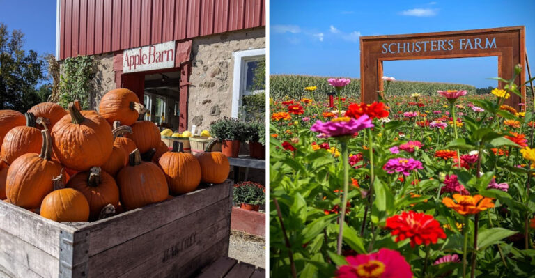 8 Wisconsin Farm Markets And Roadside Stands Where Produce Tastes Like Summer