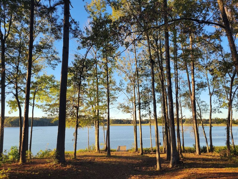 Natchez Trace Parkway