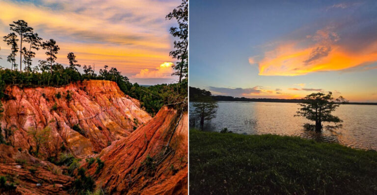 9 Mississippi Scenic Drives That Truly Belong On Every 2026 Bucket List