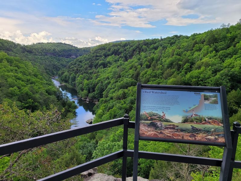 Lilly Bluff Overlook Trail, Obed Wild And Scenic River