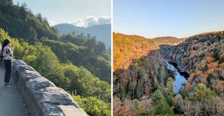 9 Stunning Overlooks In Tennessee Where The View Goes On Forever