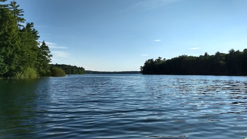 Black Oak Lake - Land O' Lakes