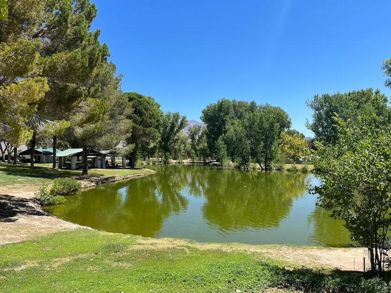 Four Peaceful Lakes Create A Rare Desert Escape