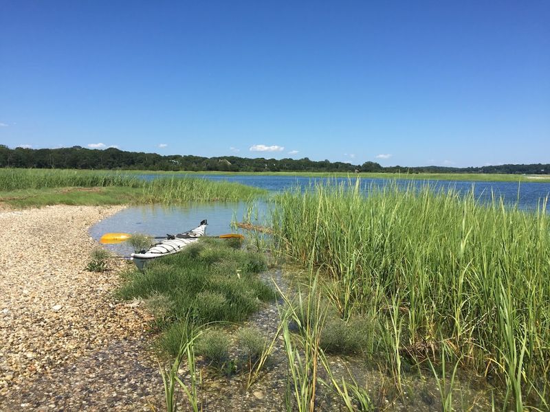 Welcome To West Meadow Beach, Stony Brook