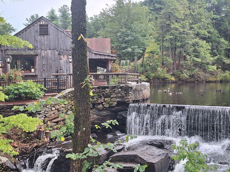The Waterfall And Duck Pond Right Outside