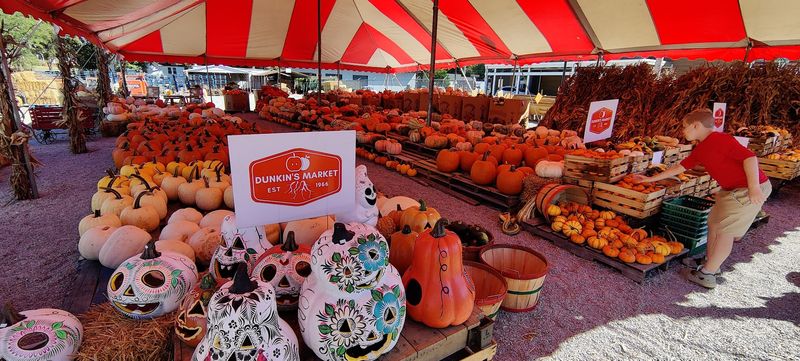 Seasonal Traditions That Families Return To Year After Year