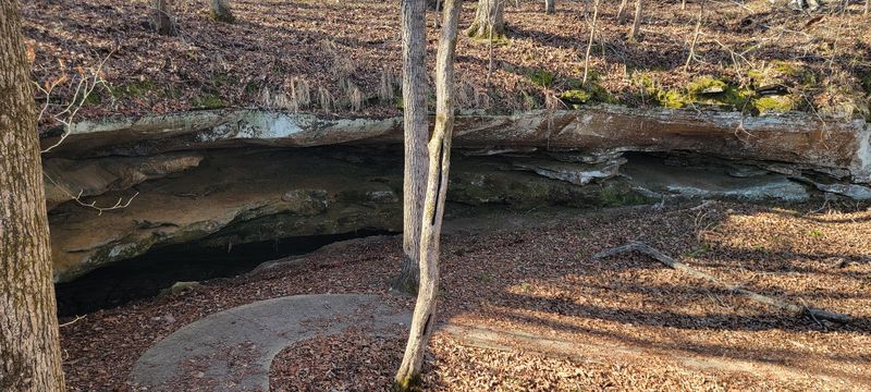 Cave Spring On The Natchez Trace Parkway