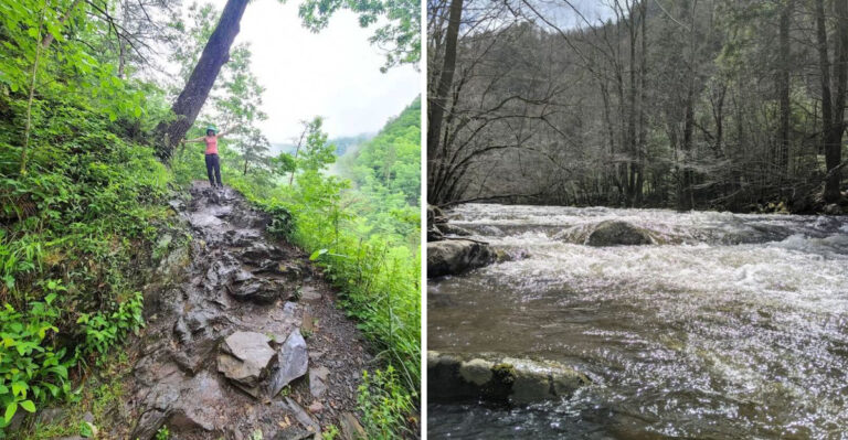 A Hidden Tennessee Ridge Trail Where You Can Walk For Hours Without Seeing Another Person
