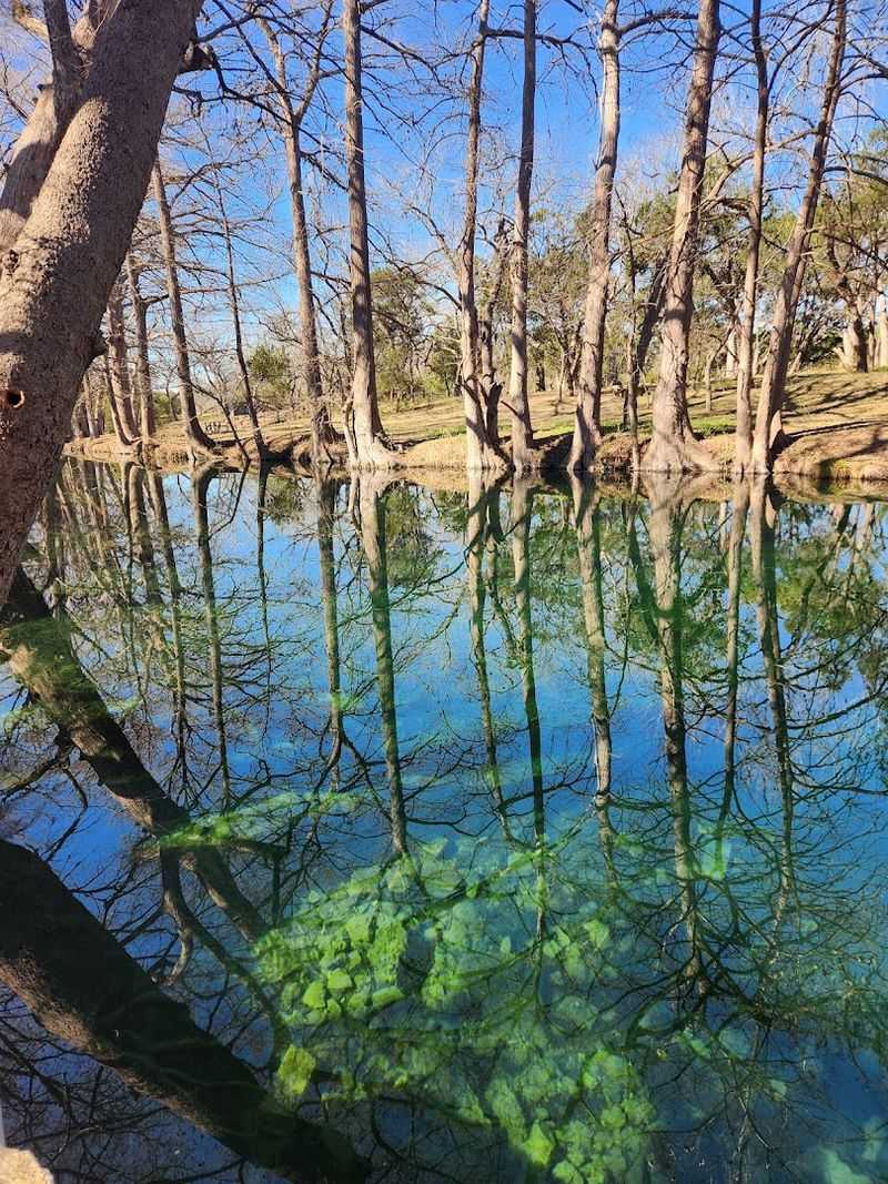 The Cypress Trees That Turn A Good Swim Into A Great One
