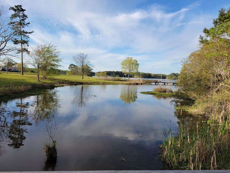 Welcome To Lake Lincoln State Park In Wesson, Mississippi