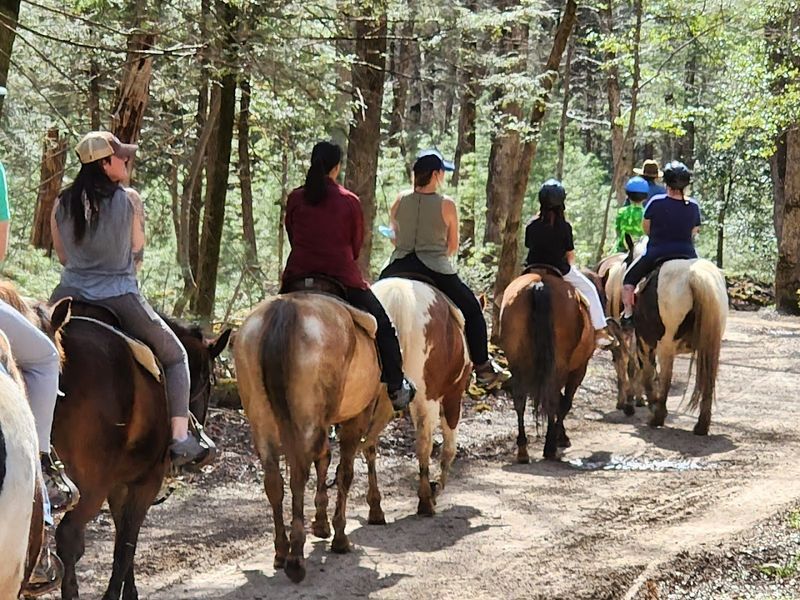 Safety Standards And Rider Requirements Worth Knowing