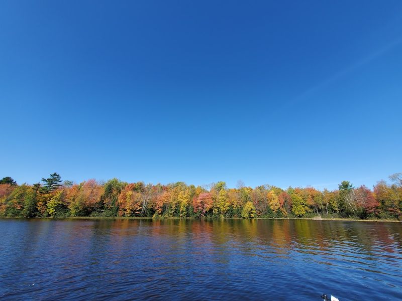 A Winding Shoreline Makes The Lake Feel Bigger Than The Map Suggests
