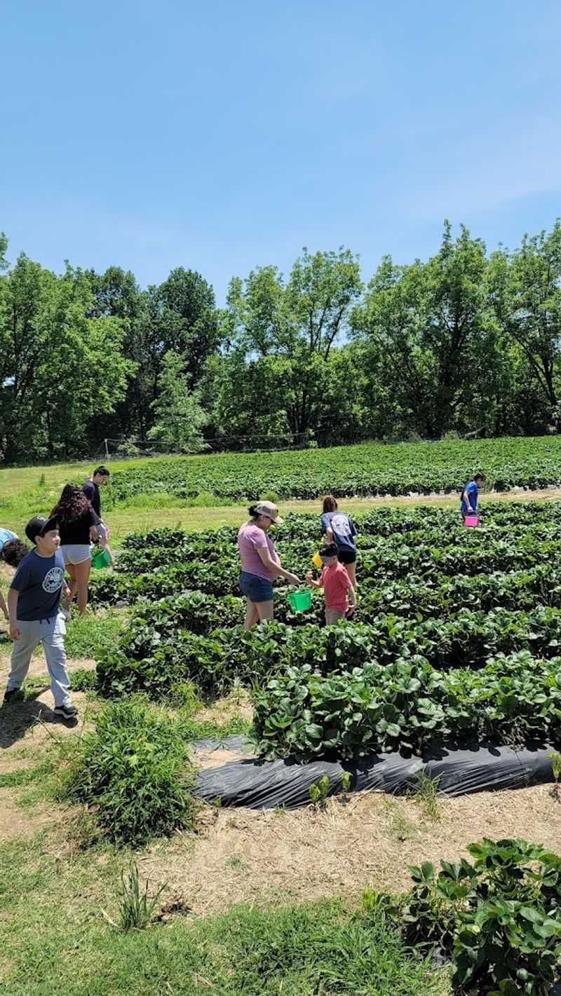 Everything You Need To Know Before You Head Out To The Orchard