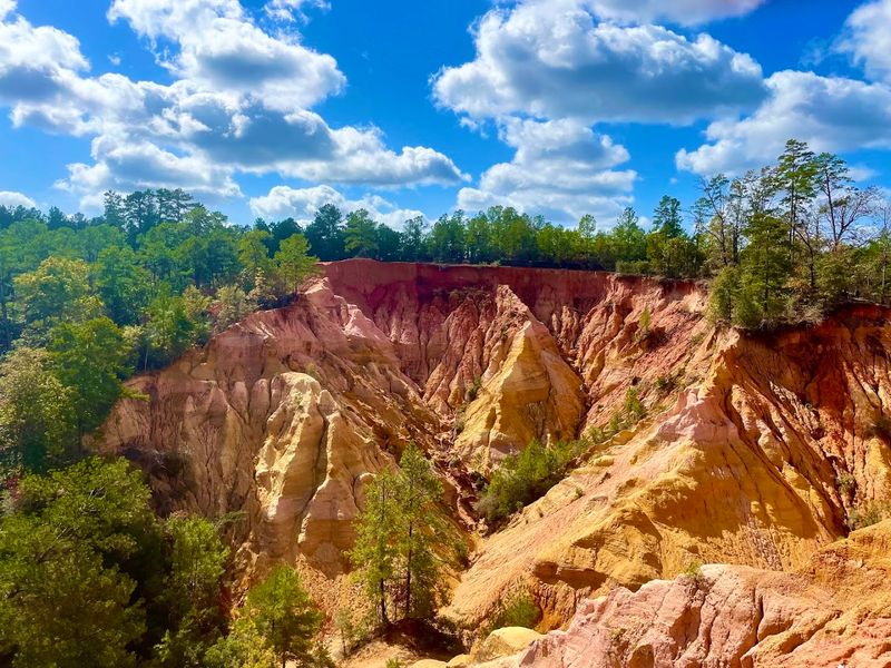 Red Bluff: Mississippi's Little Grand Canyon And How To Find It