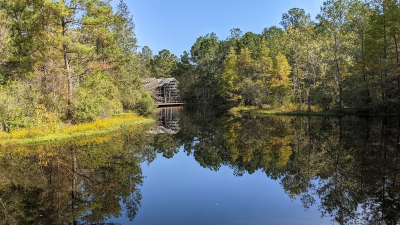 Meet The Crosby Arboretum At 370 Ridge Road