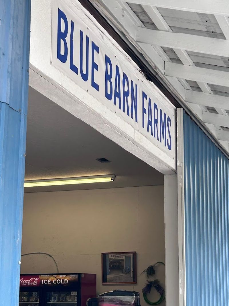 The Perfect Family Outing That Mississippi Has Been Hiding
