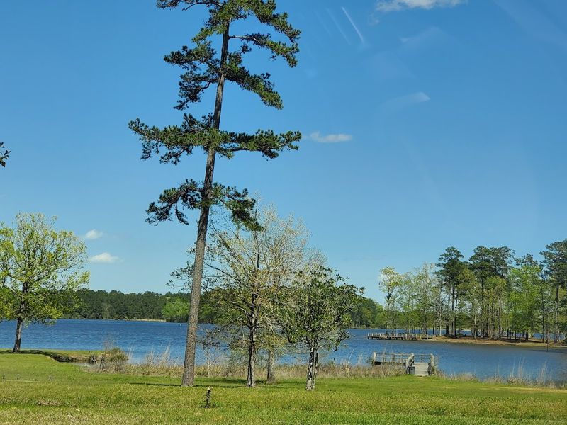 Why Lake Lincoln Deserves A Spot On Your Travel List