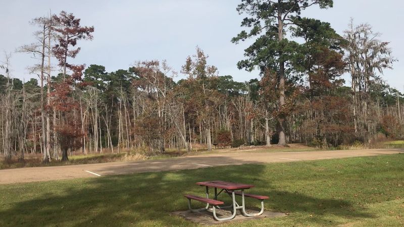 Disc Golf, Events, And Reasons To Come Back