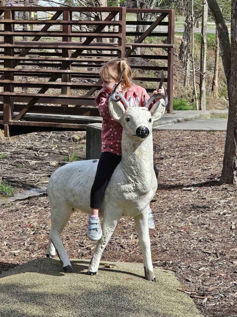 The Lions' Narnia Braille Trail Brings A Beloved Story To Life
