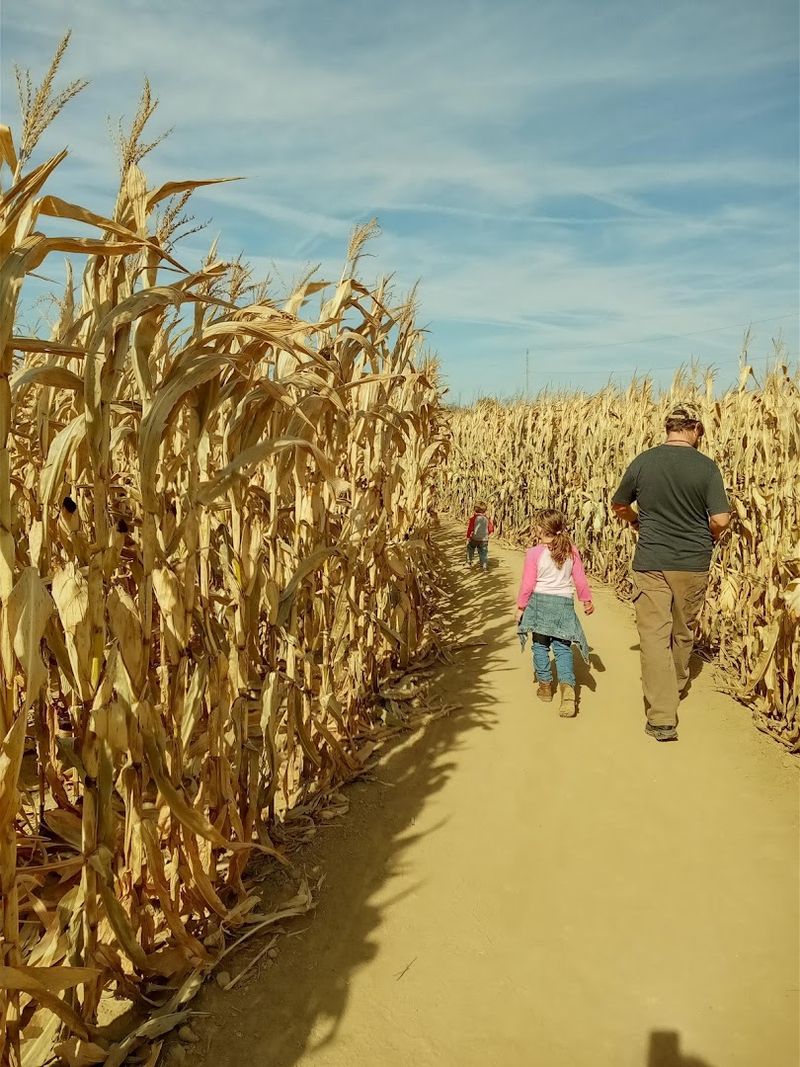 Why This Farm Keeps People Coming Back