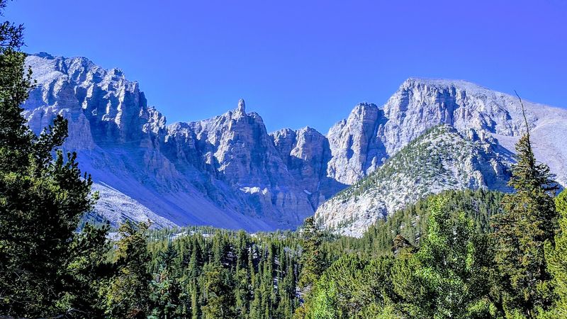 The Wheeler Peak Summit Trail Starts Close By