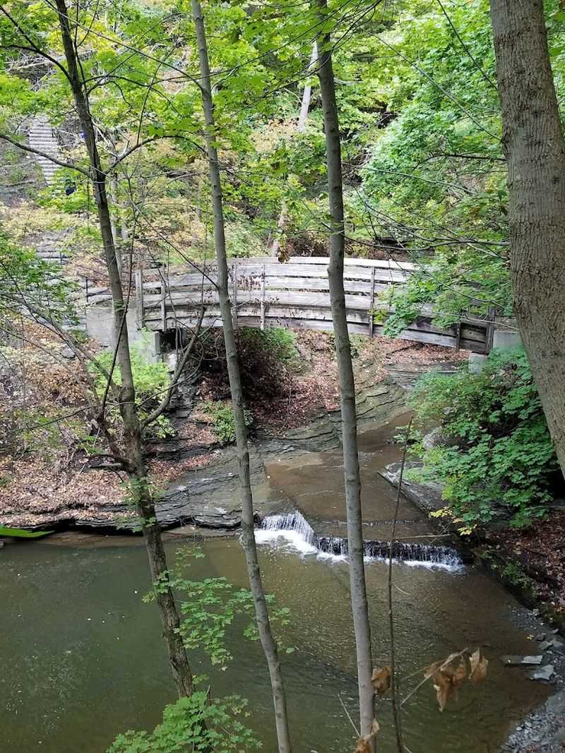 Cascadilla Gorge: The Fantasy Corridor Between Ithaca And Cornell