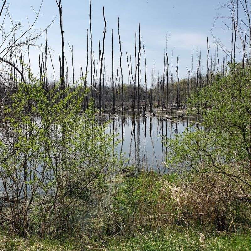 Iroquois National Wildlife Refuge: The Address Of Adventure