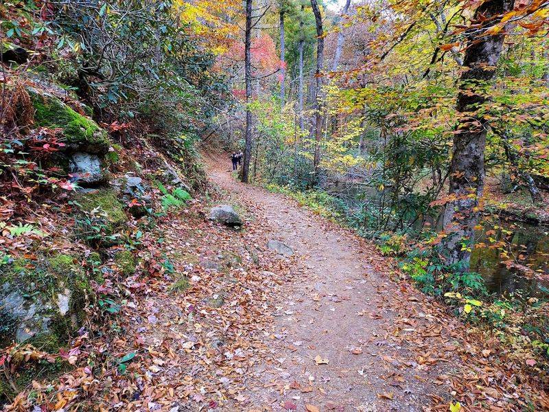 The Best Times To Visit For A Peaceful Experience